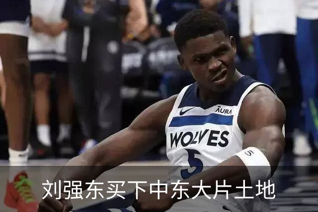 刘强东买下中东大片土地
